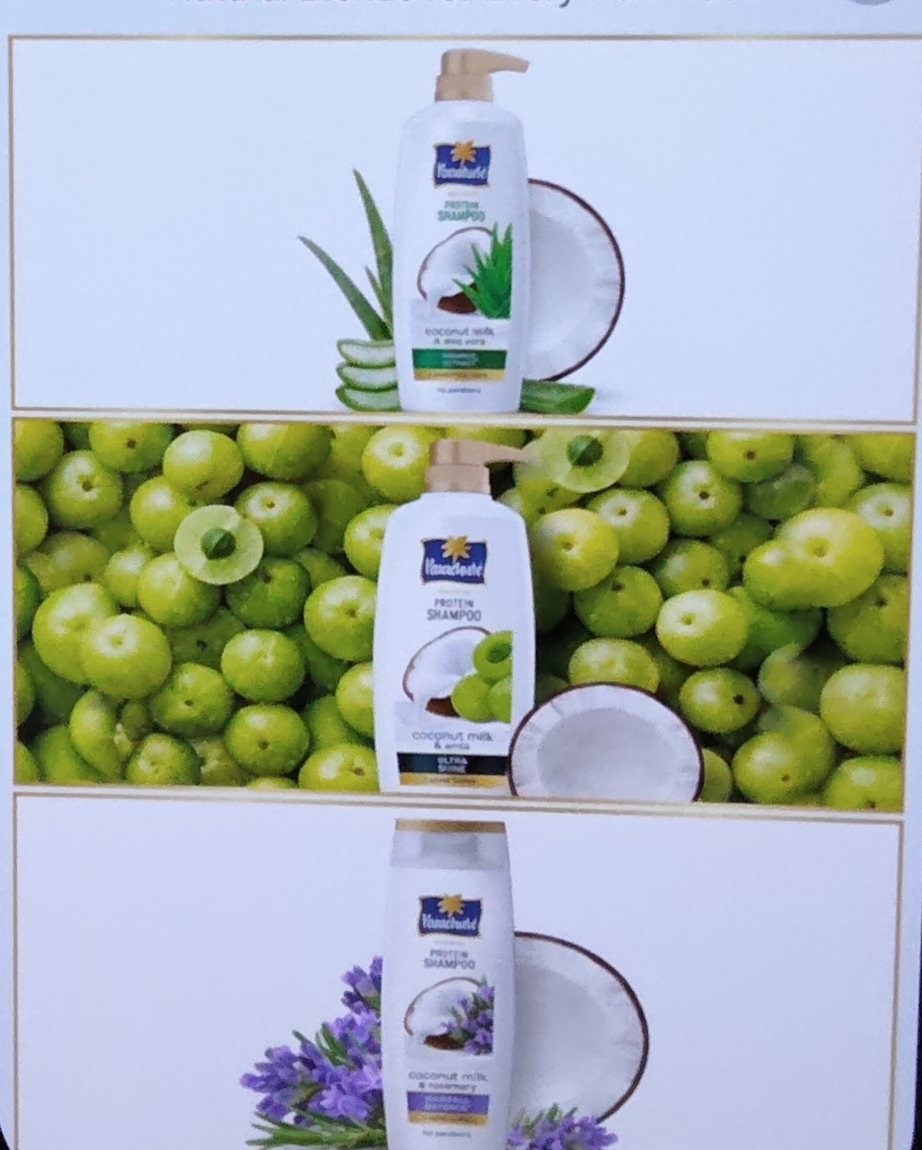 parachute protine shampoo coconut milk